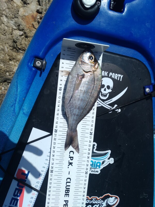 Fish Measure Picture
